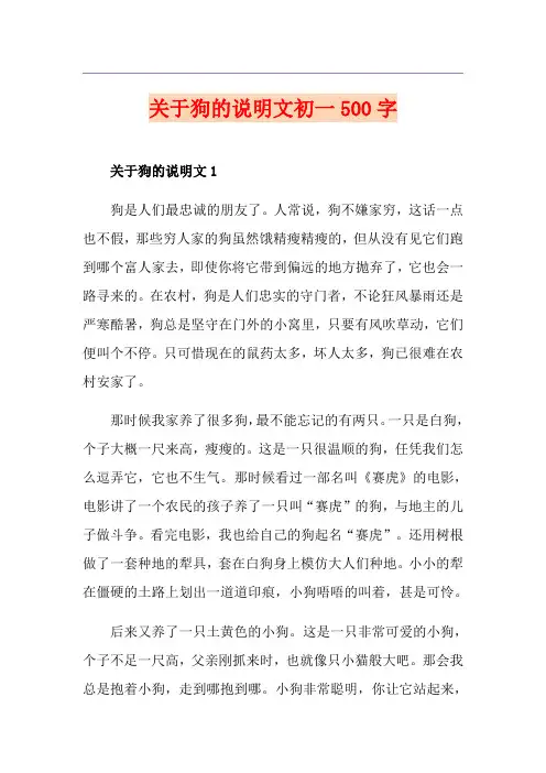 关于狗的说明文初一500字