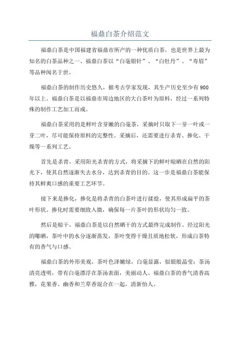 福鼎白茶介绍范文