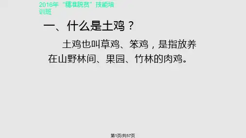 精准扶贫生态养鸡PPT课件