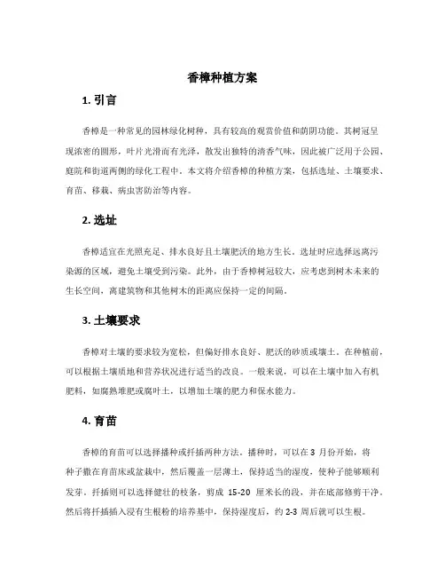 香樟种植方案