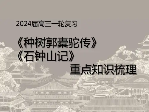2025届高三一轮复习《种树郭橐驼传》《石钟山记》课件