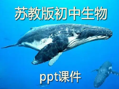苏教版初中生物七年级上册《绿化,我们共同的行动》优教精选PPT课件