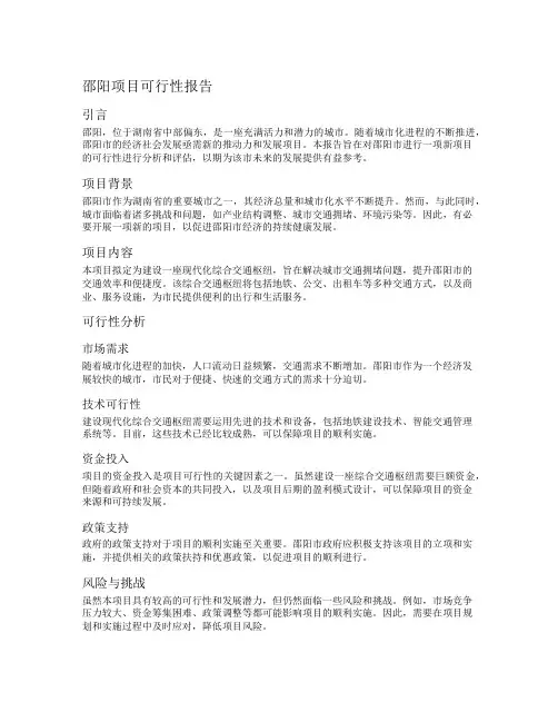 邵阳项目可行性报告