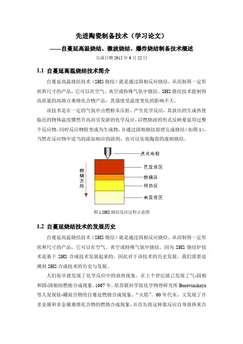 作业-自蔓延技术,微波烧结,爆炸烧结汇总