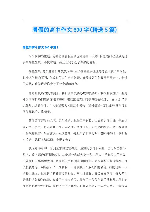 暑假的高中作文600字(精选5篇)