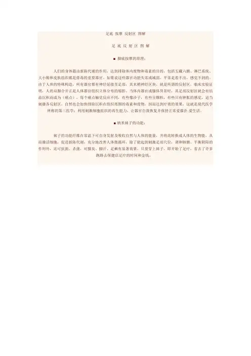 足底 按摩 反射区 图解