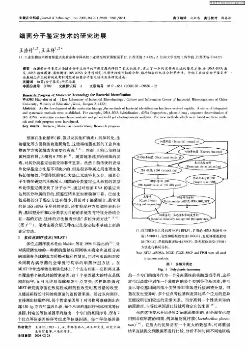 细菌分子鉴定技术的研究进展