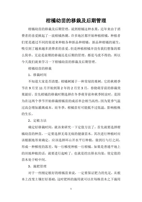 柑橘幼苗的移栽及后期管理