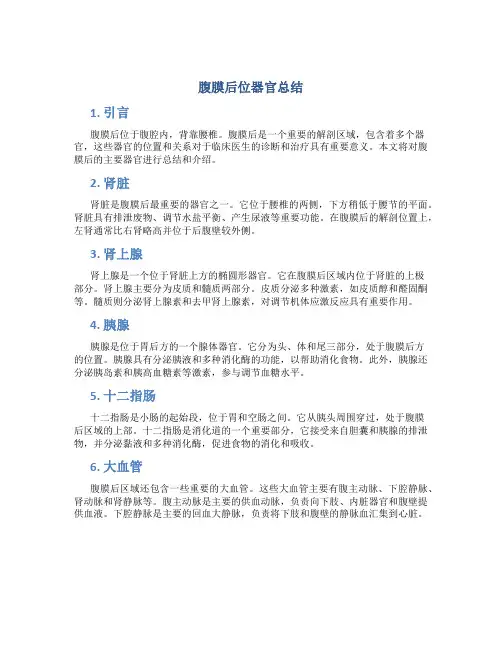 腹膜后位器官总结
