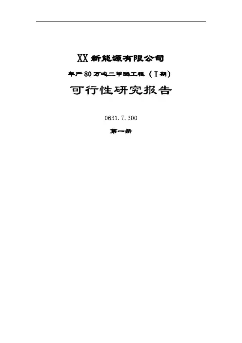 80万吨煤基二甲醚项目可行性研究报告