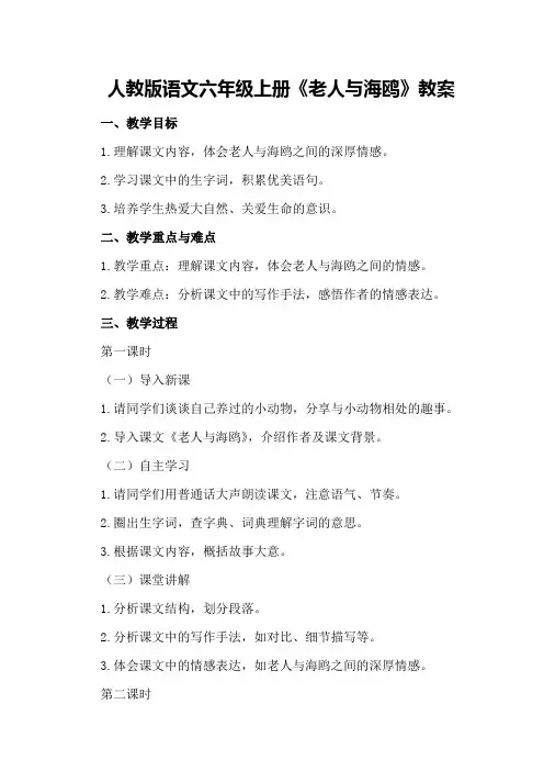 人教版语文六年级上册《老人与海鸥》教案