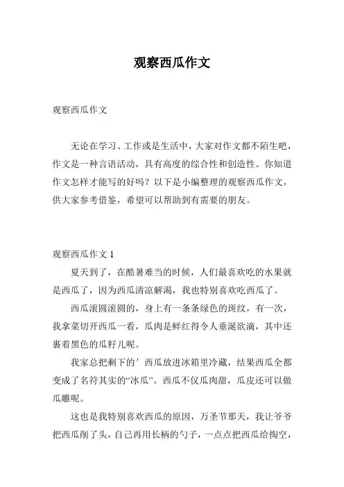 观察西瓜作文