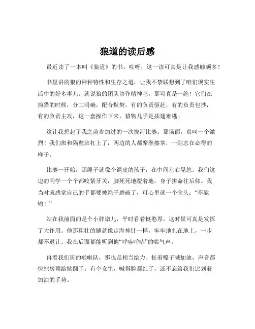 狼道的读后感