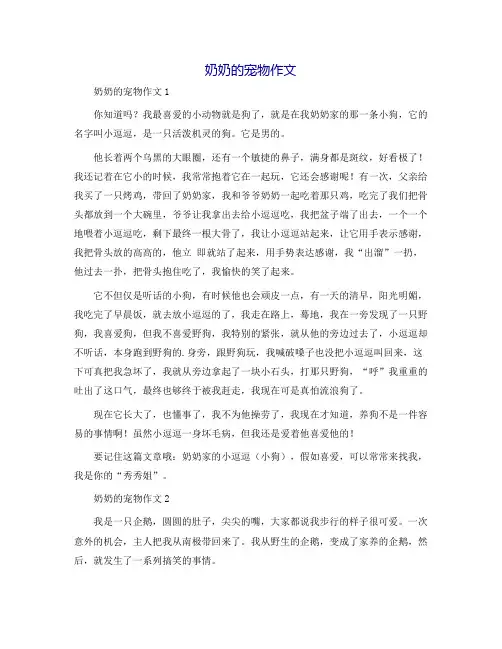 奶奶的宠物作文