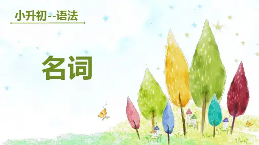 小学英语语法专项-名词课件(全国通用版)