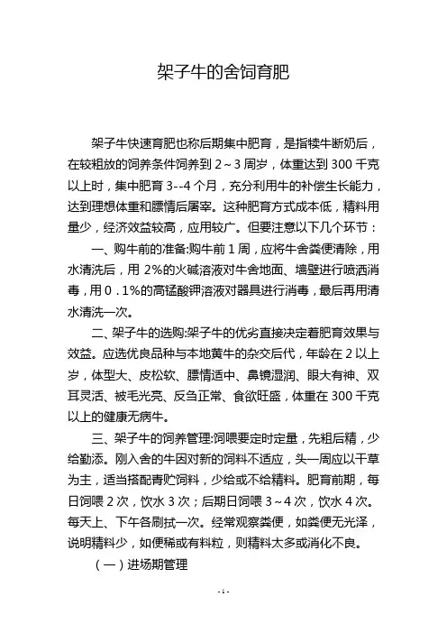 架子牛的舍饲育肥