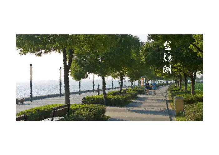 金鸡湖景观案例