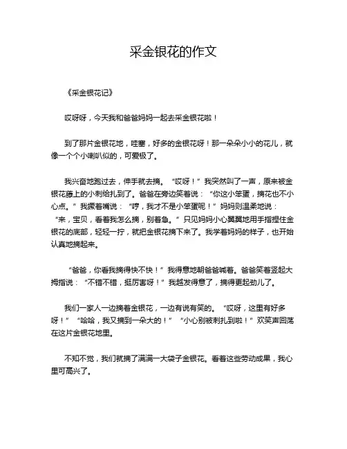 采金银花的作文