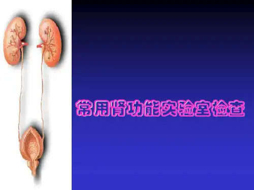 常用肾功能实验室检测