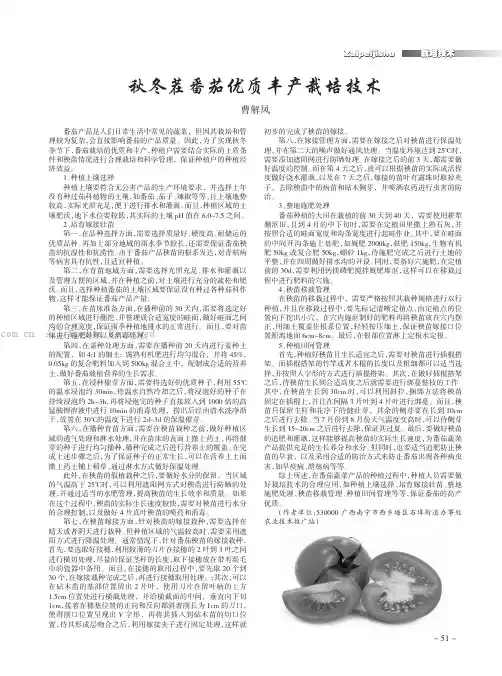 秋冬茬番茄优质丰产栽培技术