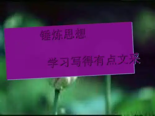 锤炼思想学习写得有点文采 PPT课件
