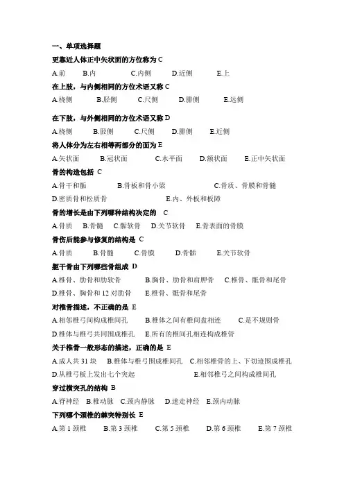 人体解剖学期末考试