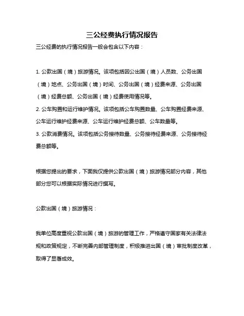 三公经费执行情况报告