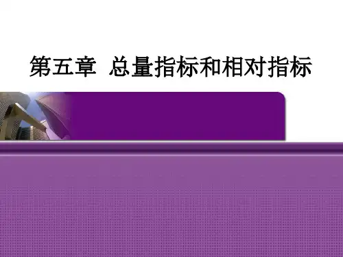 统计学 第五章  总量目标和相对目标