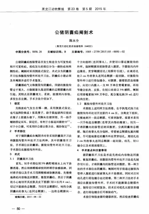 公猪阴囊疝阉割术
