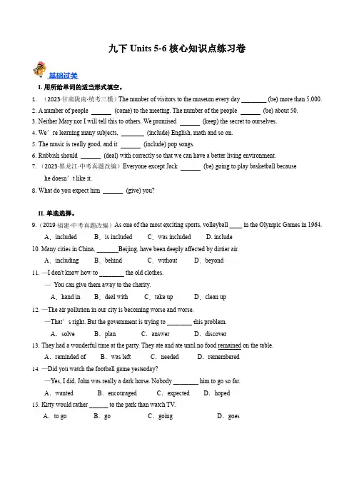九下Units 5-6(核心知识点综合检测)-备战2024年中考英语一轮复习考点帮(仁爱版)