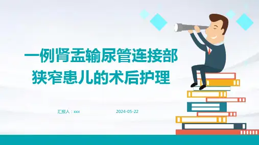 一例肾盂输尿管连接部狭窄患儿的术后护理PPT课件