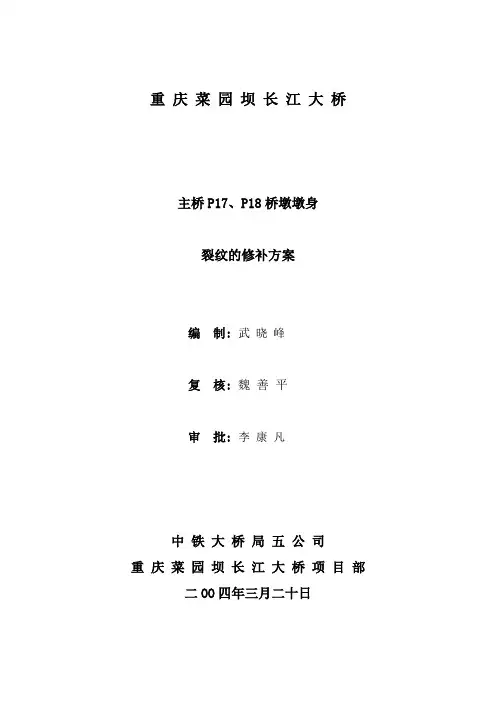 桥墩墩身裂纹修补方案