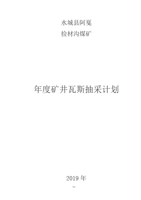 2019年度瓦斯抽采计划