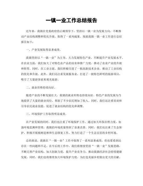 一镇一业工作总结报告