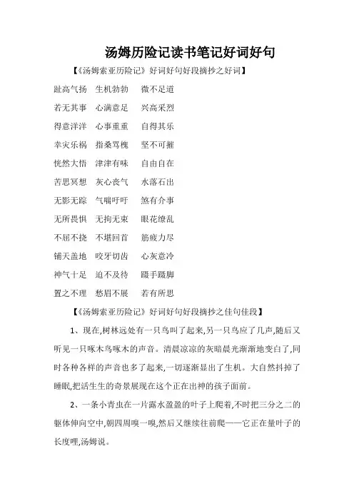汤姆历险记读书笔记好词好句