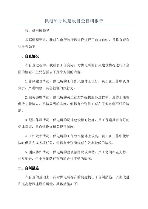 供电所行风建设自查自纠报告