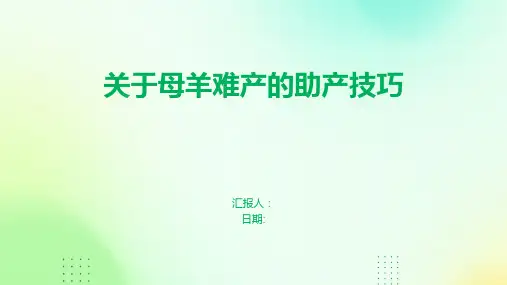 关于母羊难产的助产技巧
