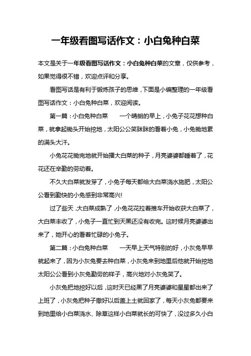一年级看图写话作文：小白兔种白菜