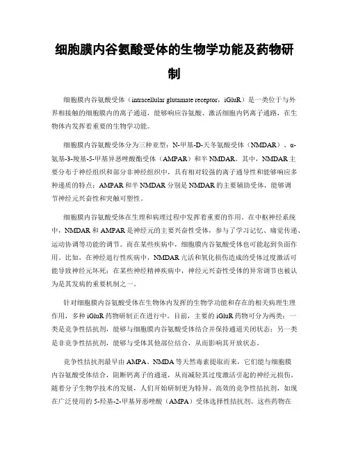 细胞膜内谷氨酸受体的生物学功能及药物研制