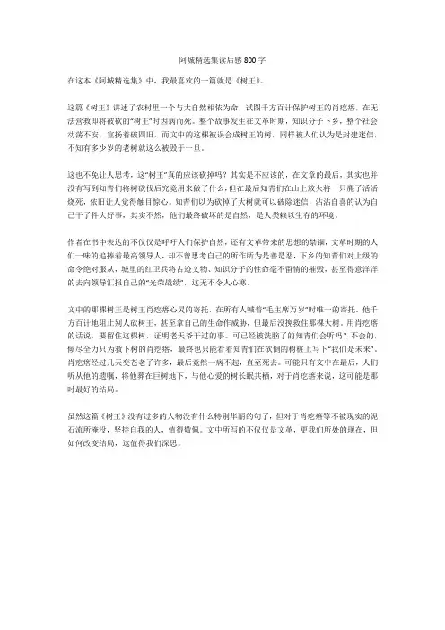 阿城精选集读后感800字高分作文