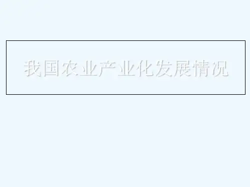 我国农业产业化发展情况课件
