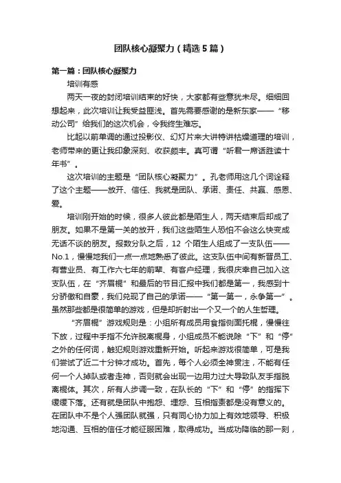 团队核心凝聚力（精选5篇）