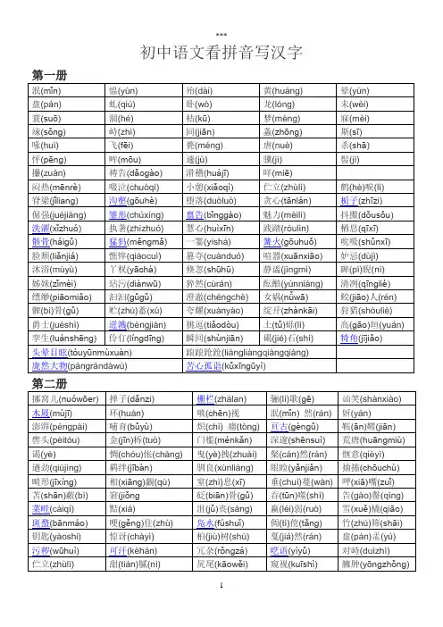 初中语文看拼音写汉字
