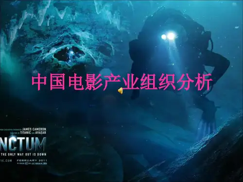 电影产业组织分析课件