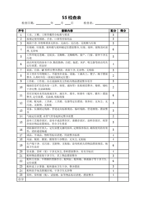 5S检查表(标准模版)