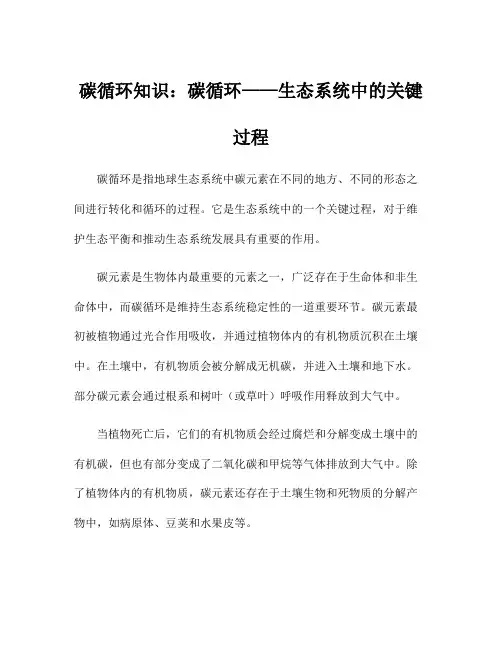 碳循环知识：碳循环——生态系统中的关键过程