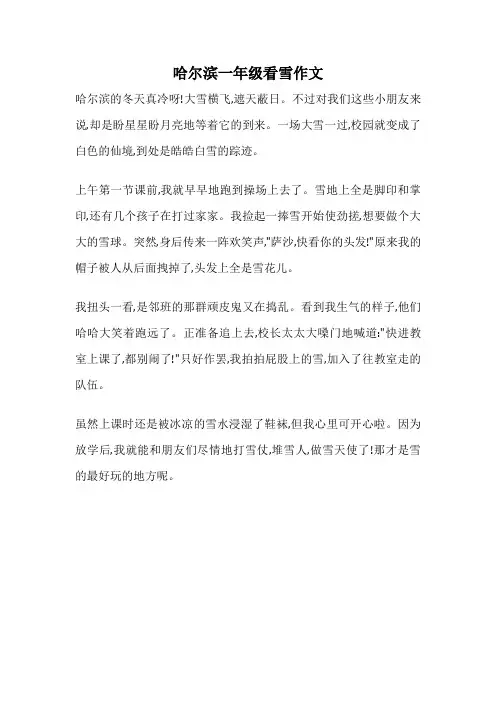 哈尔滨一年级看雪作文