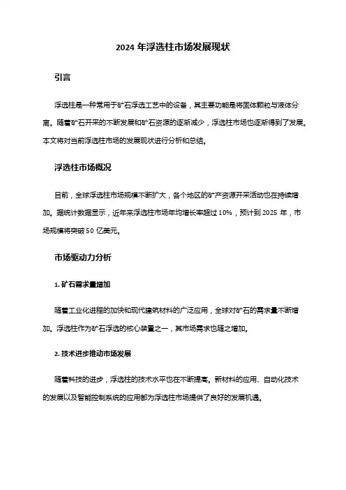 2024年浮选柱市场发展现状