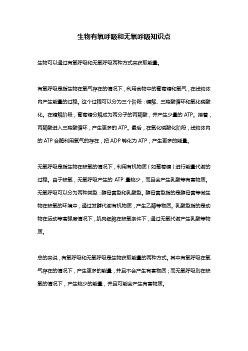 生物有氧呼吸和无氧呼吸知识点