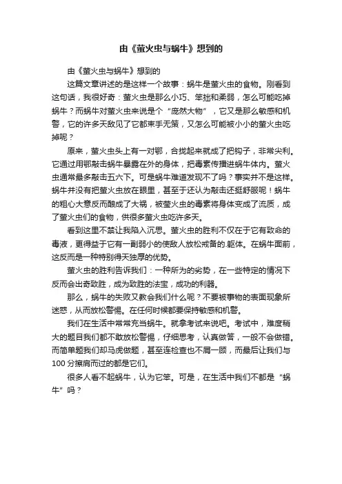 由《萤火虫与蜗牛》想到的